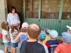 Visite_boite_sucre_bleue-1