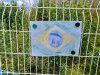 11_Drapeau_Bresil