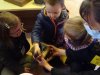 Petit_chaperon_rouge-2