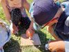 Activite_tour_porte_chevalier-24