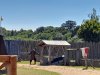 Spectacle_chevaliers-16