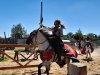 Spectacle_chevaliers-2