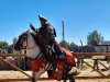 Spectacle_chevaliers-23
