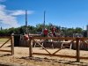 Spectacle_chevaliers-25