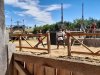Spectacle_chevaliers-26