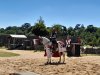 Spectacle_chevaliers-27