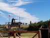 Spectacle_chevaliers-8